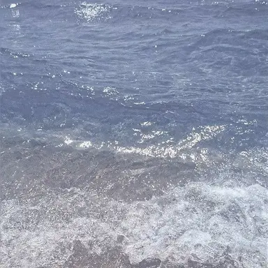 Profile image of 파이브