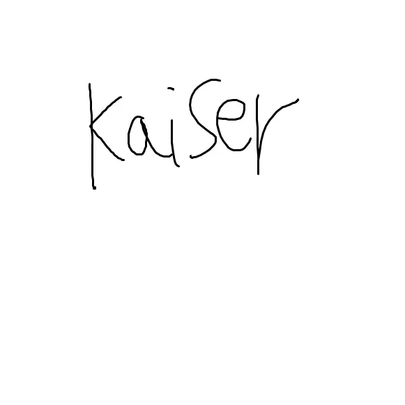 BrightTrill6017의 카이저 코페레이션이 파산 했습니다