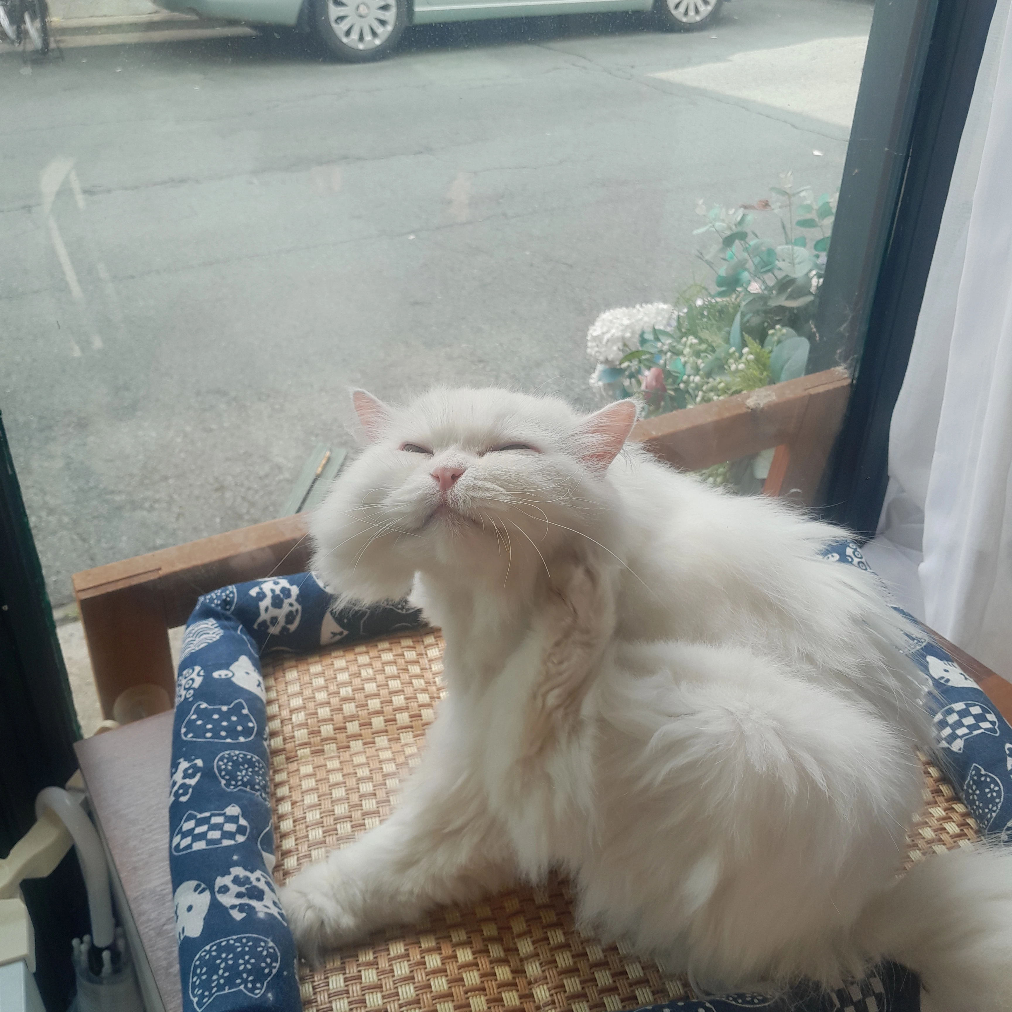 왕따