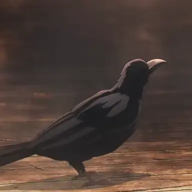 Profile image of 칸자부로