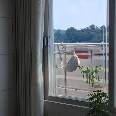 Profile image of 이   리   우