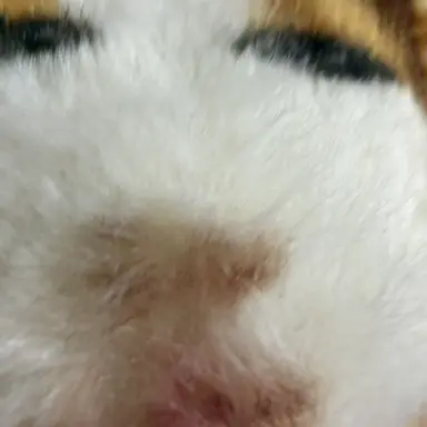 Profile image of 유하람