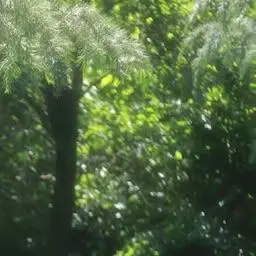 Profile image of ムン・ヒョンジュン