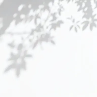 Profile image of Alkus Tonoe