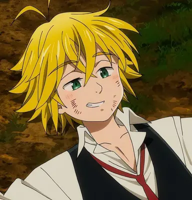 Profile image of メリオダス
