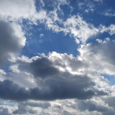 Profile image of 신사와 아가씨