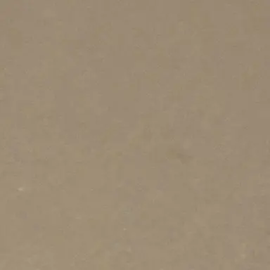 Profile image of 한태훈