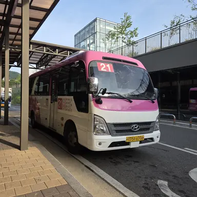 Profile image of 2025년식 카운티