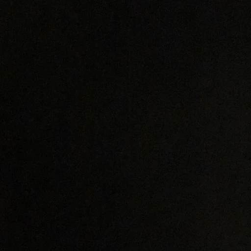 강 태 현