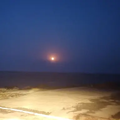 Profile image of 마음대로하세요