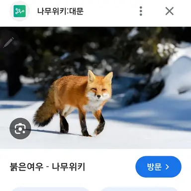 Profile image of 여우