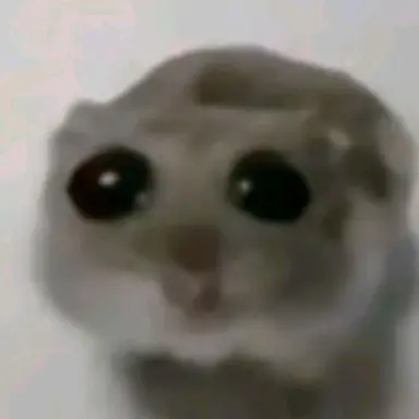 Profile image of 소한이