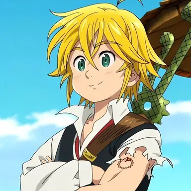 Profile image of メリオダス