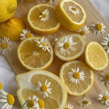 Profile image of 각별