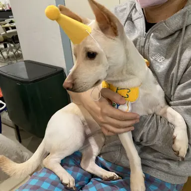 Profile image of 기유좌