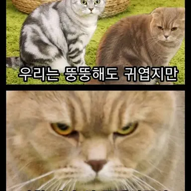 Profile image of 레이루