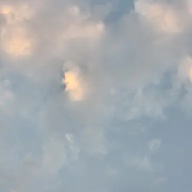 Profile image of 오이씨