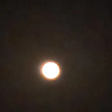 Profile image of 왼발가락