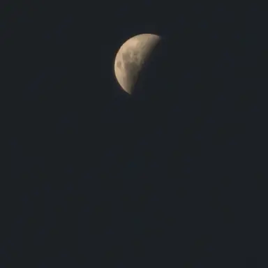 Profile image of 로사씨