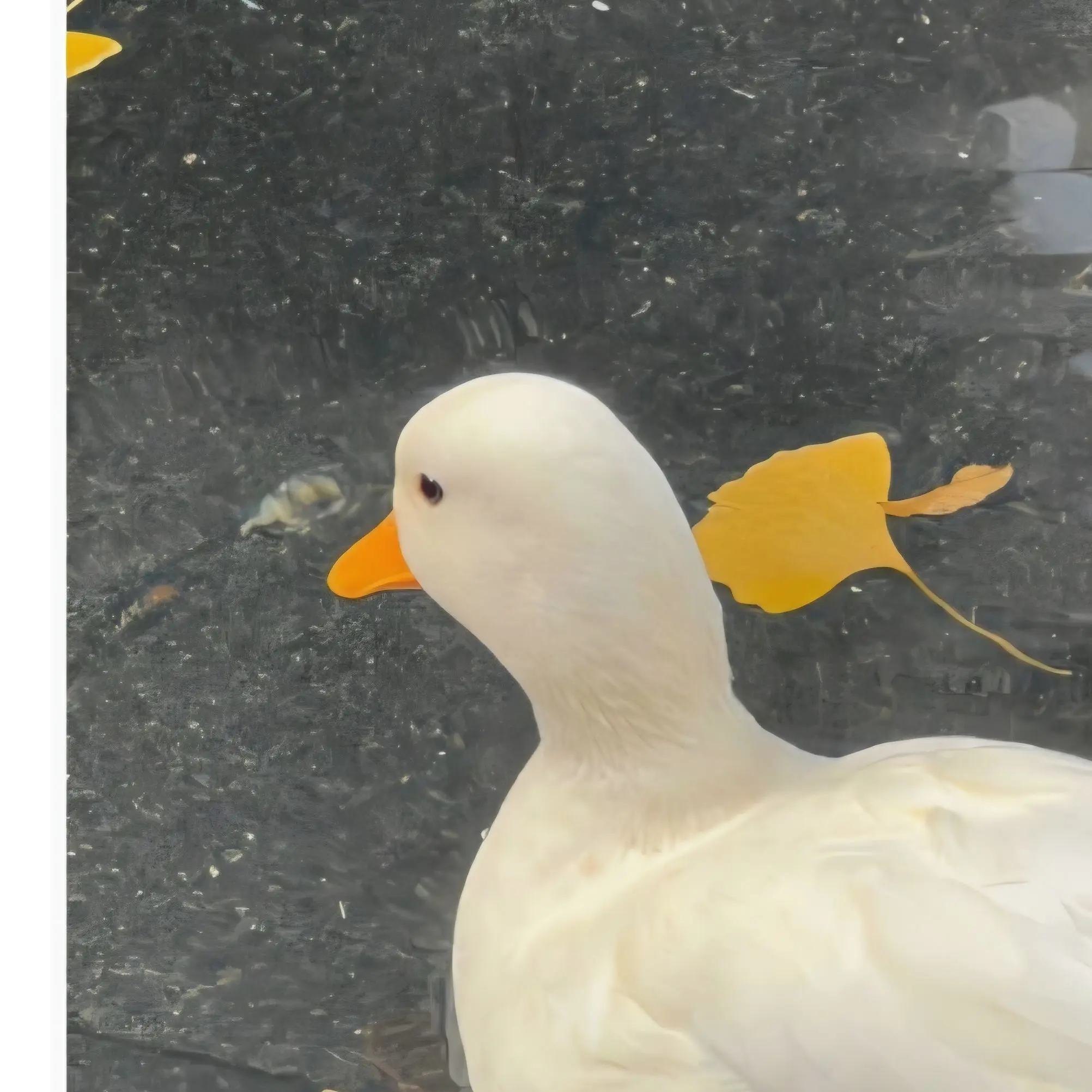 leah_1940의 보건 선생님