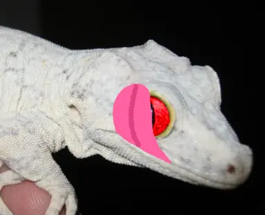 Profile image of 이자헌