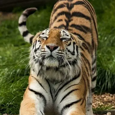 Profile image of 최