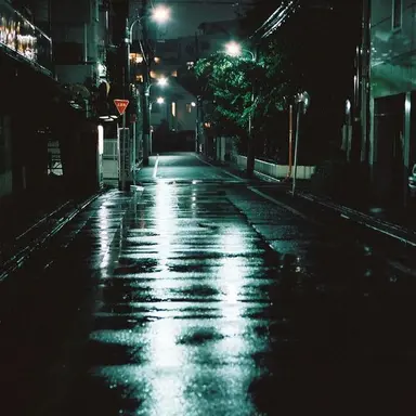 Profile image of 백호
