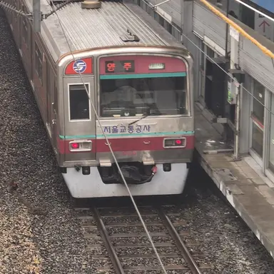 Profile image of S차