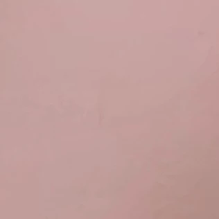 여우