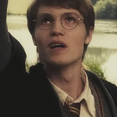 Profile image of James Potter