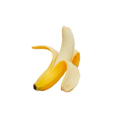 Profile image of 蓮