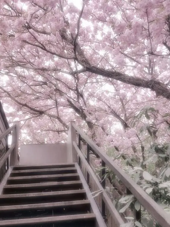 perfectGirlAma의 ゆ ら ゆ ら 彷 徨 う 僕 は