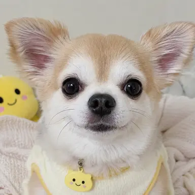 Profile image of 貴方の両親