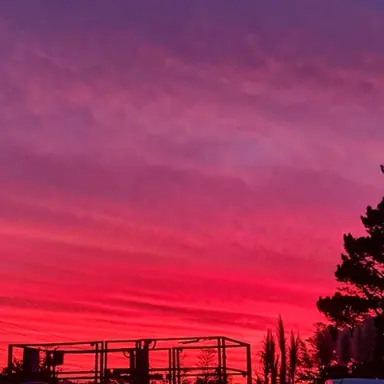 Profile image of Hugo