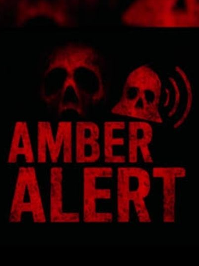 Amber alert 대표 이미지