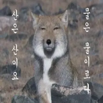 Profile image of 타쿠야