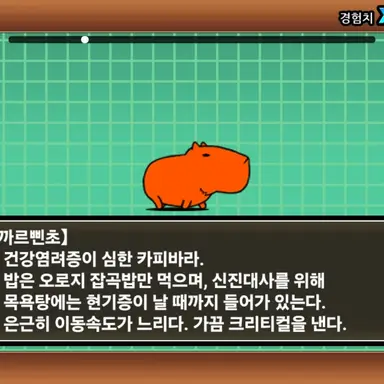 Profile image of 까르삔쵸
