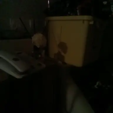 Profile image of 지훈