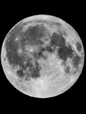 Evade_darling.의 どこか危ない家庭教師さん