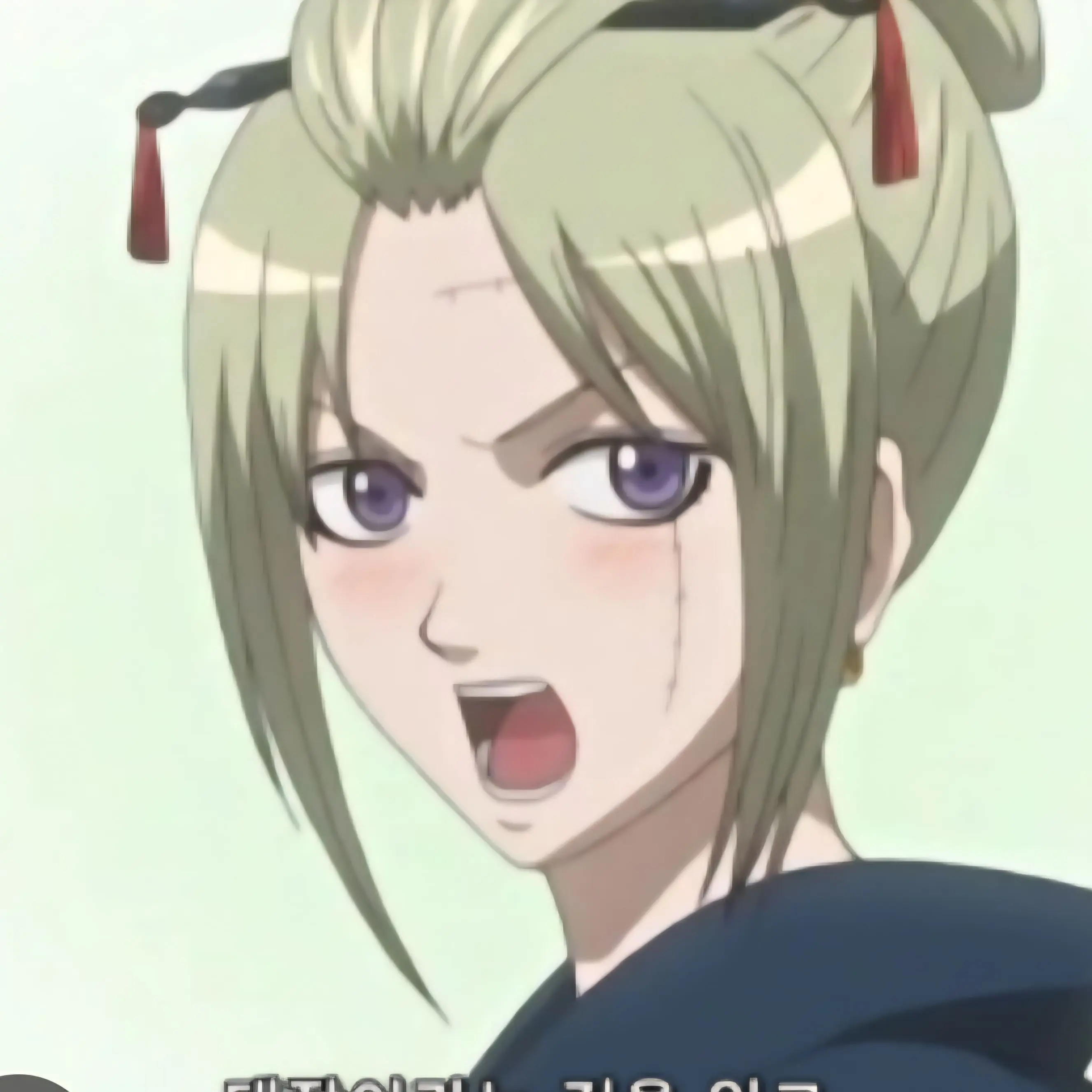 ClassySnow6053의 펜션