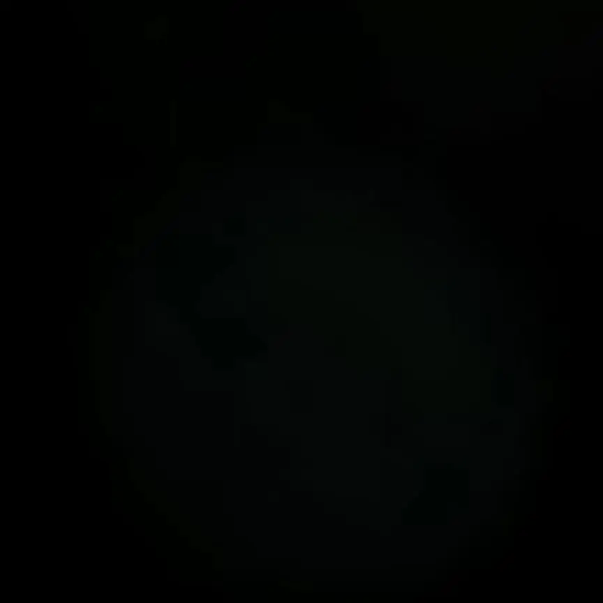 CurvedFrost5654의 일찐선배 한동믽