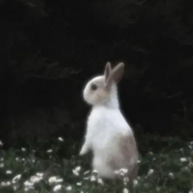 Profile image of Mason