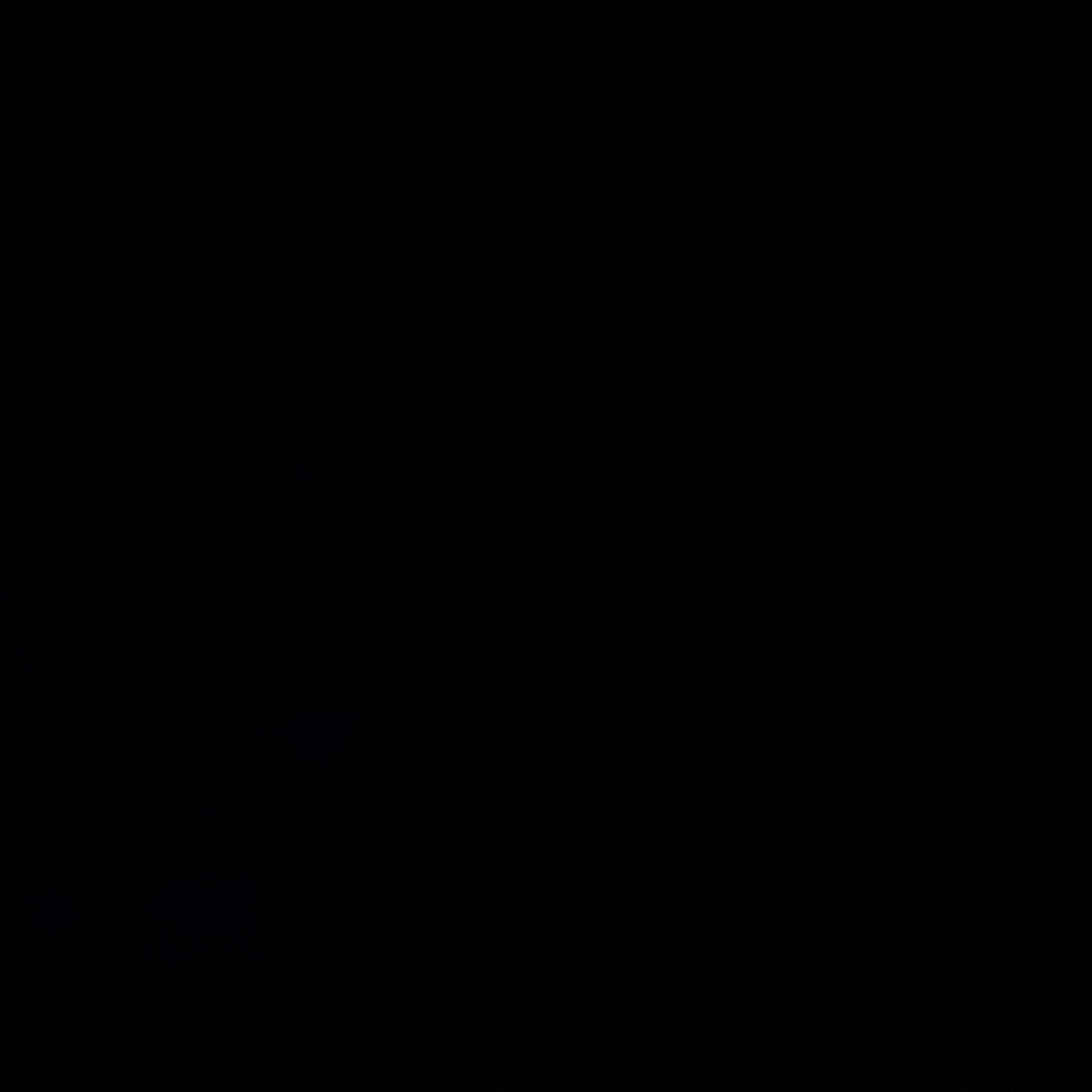 김동현