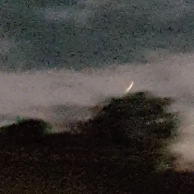 Profile image of 손한빈