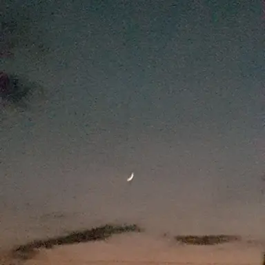 Profile image of 윤태오