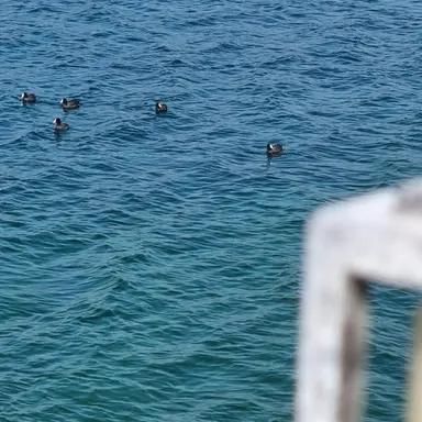 Profile image of 명재혅