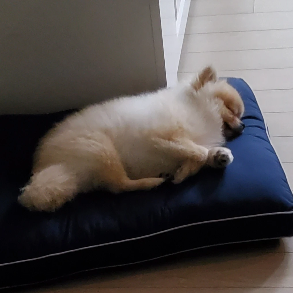 김춘식