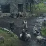 Profile image of 1600s rpg