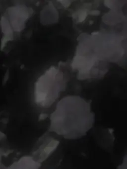 uyutyan.1020의 事故ﾁｭｰしてしまった…