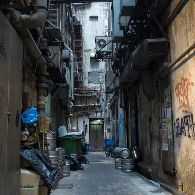 FrailBadge5842의 가출팸